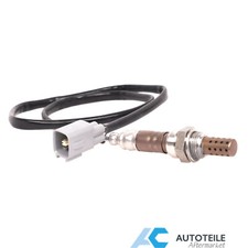 Lambdasonde nach Kat