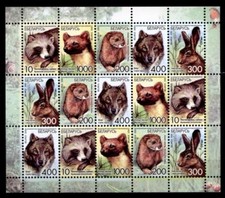 Marderhund, Nerz, Hase, Wolf, Baummarder. KB. Weißrußland 2008