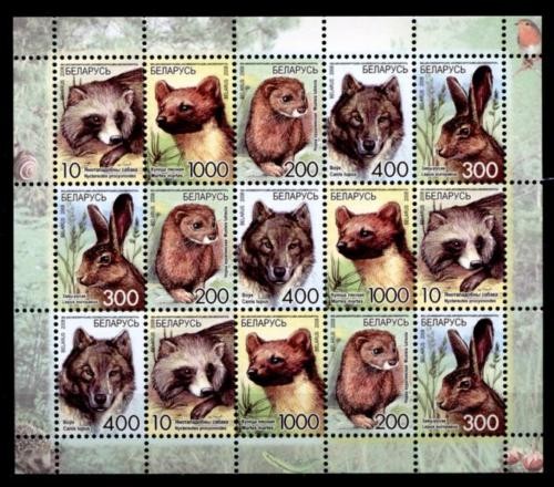 Marderhund nerz hase - hase,, wolf