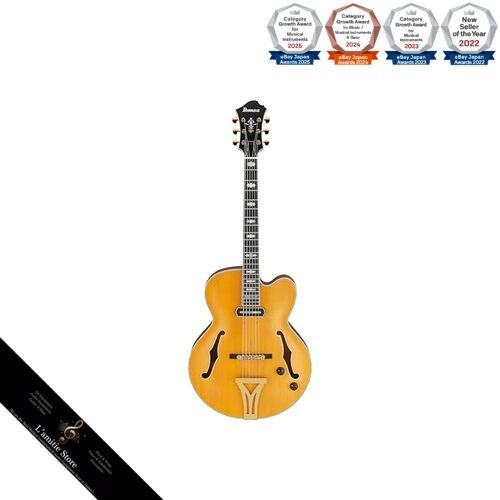 Ibanez pat metheny model - metheny,