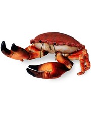 Rote Land Krabbe Plüschtier