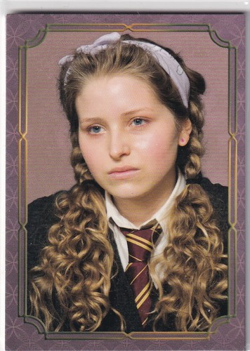 Panini harry potter evolution - harry,