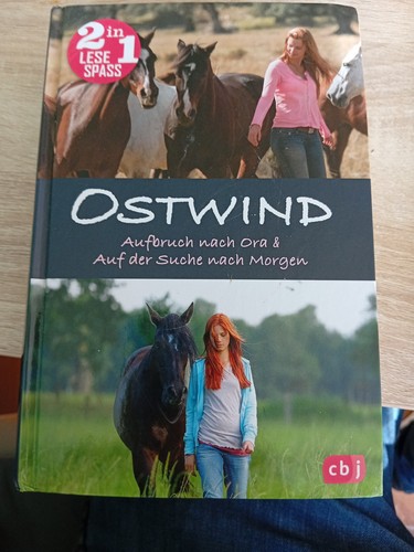 Ostwind aufbruch nach ora - ostwind,