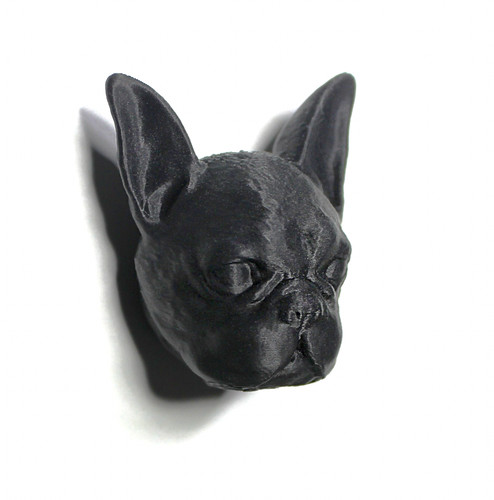 Frenchie french bully - frenchie,