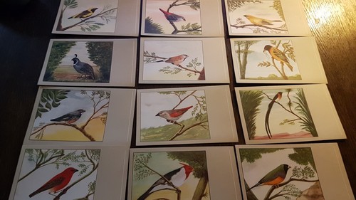Sluis birdfood - v., p.