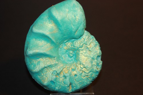 Ammonit ceratites replik deko - ammonit,