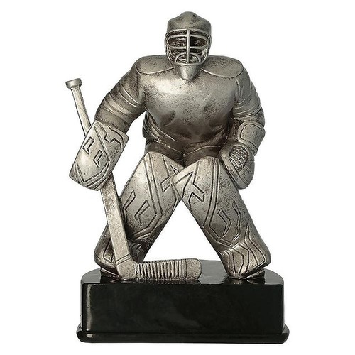 Eishockey tor torwart - tor,