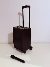 JAY-tech MCP 100 Gitarrenverstärker Bluetooth Mobiles DJ Party Soundsystem