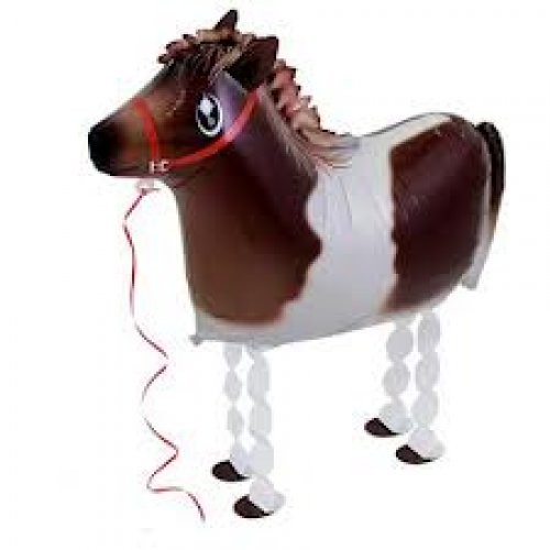 Airwalker pony - airwalker,