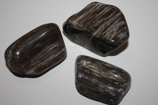 XXL Trommelsteine verkieseltes Holz Ottendorf-Okrilla (ES 69)