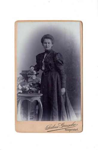 Cdv foto damenportrait feine - /,