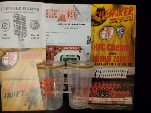 Hfc hallescher gornik - hallescher, fc