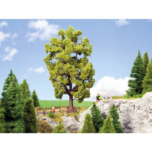Noch 0021781 baum linde - noch, 185