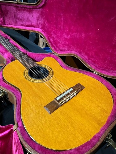 Akustikgitarre gibson chet - gibson,