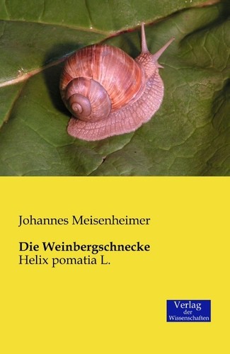 Die weinbergschnecke johannes - die,