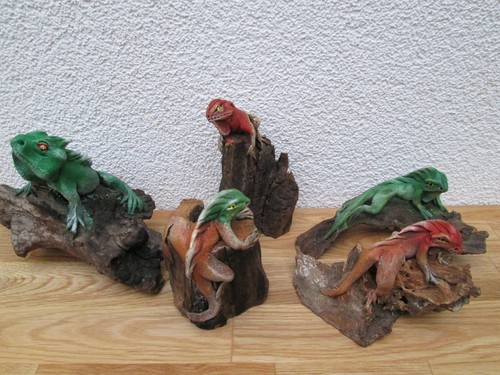 Leguan auf holz div model - auf,