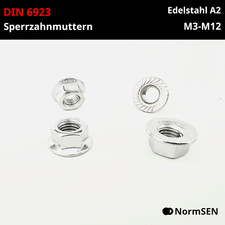Sperrzahnmuttern DIN 6923