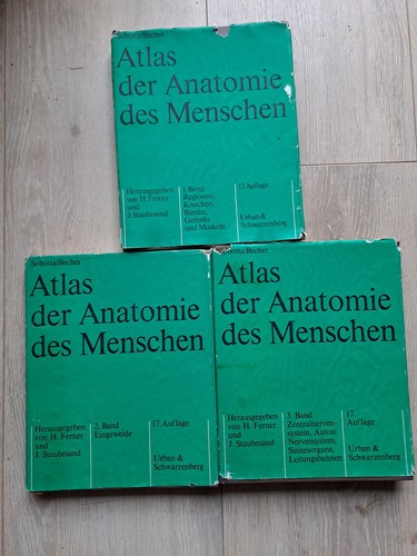 Atlas der anatomie band 3 - der,