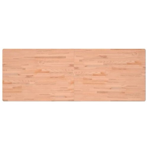 Werkbankplatte 150x55x2 cm - 150x55x2,5,