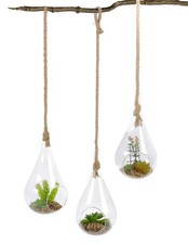 Künstliche Sukkulenten im