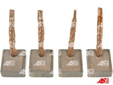 AS-PL BSX76 Carbon Brush