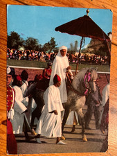 Pferdepostkarte AK Postkarte Pferd Araber Berber