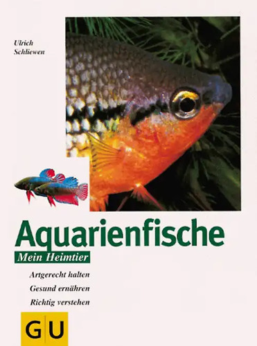 Aquarienfische artgerecht - aquarienfische.,