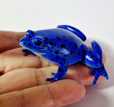 Pfeilgiftfrosch, frei