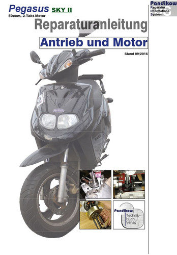 Reparaturanleitung ris pegasus - reparaturanleitung,