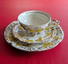 1920 Mitterteich Sammeltasse