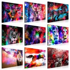 BUNTE TIERE Leinwandbild TNT