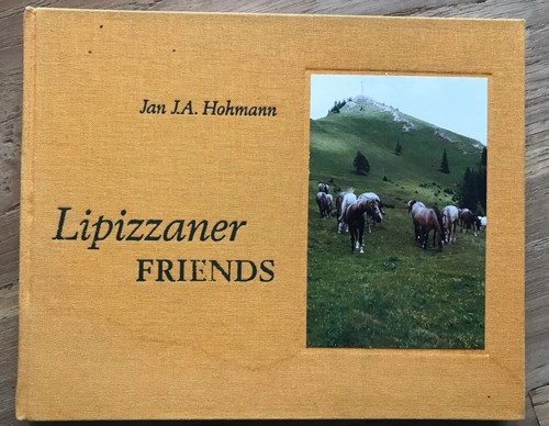 Lipizzaner friends piber - lipizzaner,