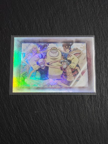 Panini one piece 25th - one,