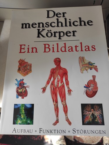 Anatomieatlas der menschliche - anatomieatlas-,