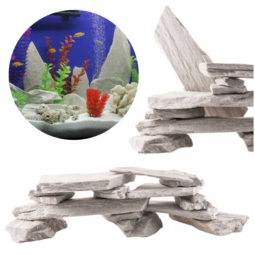 Aquarium weisser schieferstein - aquarium,