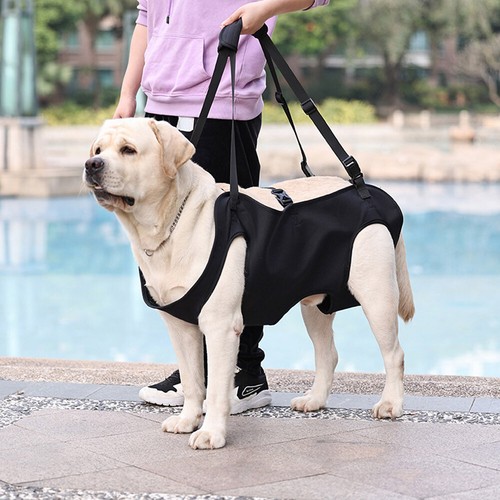 Gehhilfe für hunde - für,