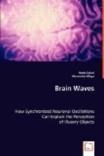 Brain Waves: How Synchronized Neuronal Oscillations Can Explain  the Perception 