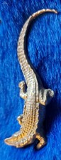 Alligator krokodil kaiman - alligator,