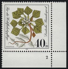 1108 Wohlfahrt Wassernuß