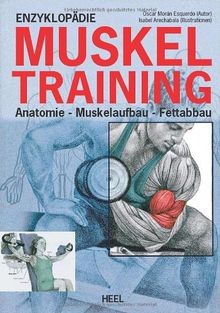 Enzyklopädie muskeltraining - enzyklopädie,