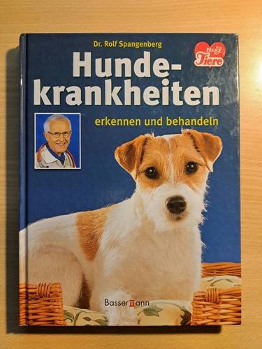 Hundekrankheiten erkennen und