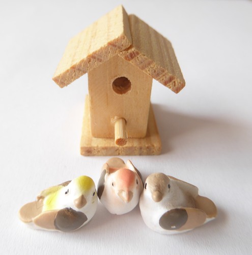 Vogelhaus mit vögeln tiere - mit,
