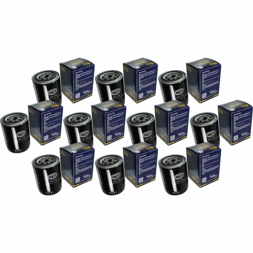 10x sct ölfilter öl - sct,