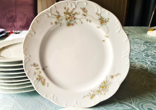 Rosenthal classic rose - rosenthal,