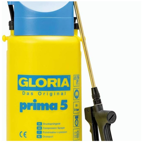 Gloria prima - gloria, 5