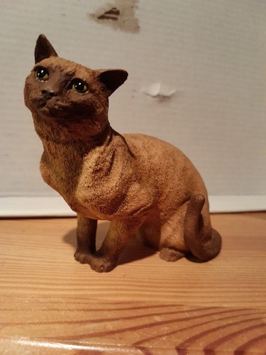 Castagna figur katze siam - castagna.,