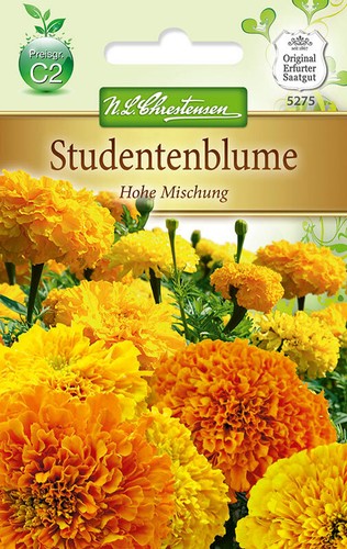 Studentenblume hohe mischung - studentenblume,