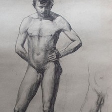 Männerakt Akt Studie