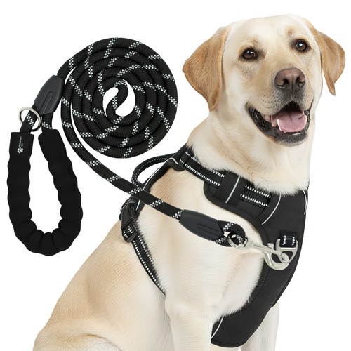 Reichstadt pets - ,