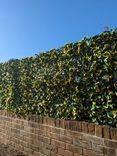 Balkon Wohnung Sichtschutz